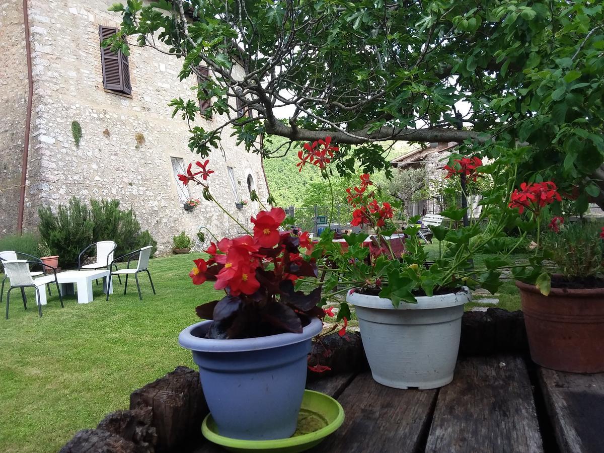Agriturismo Campagna In Compagnia Vallo di Nera Екстериор снимка